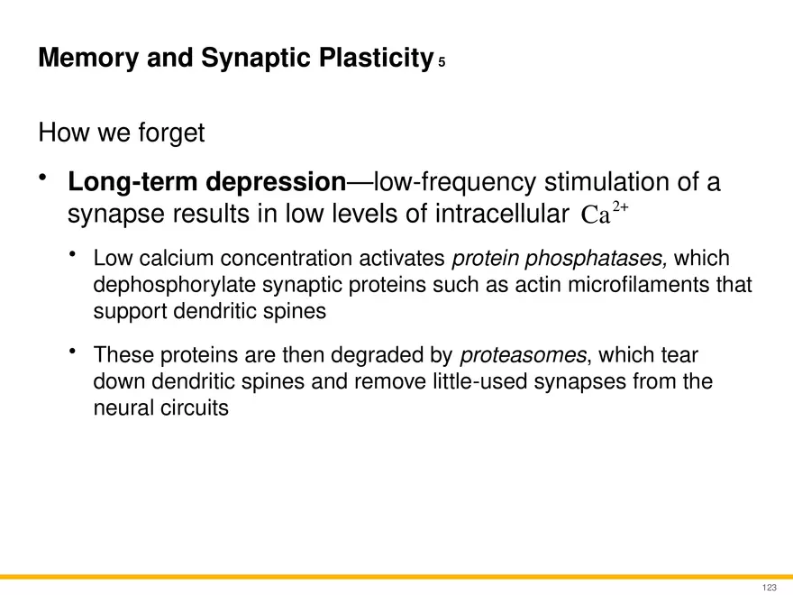 12.6 Neural Integration - Page 19
