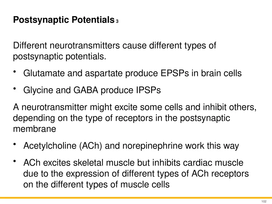 12.6 Neural Integration - Page 25