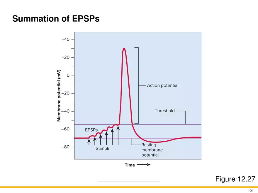 12.6 Neural Integration - Page 29