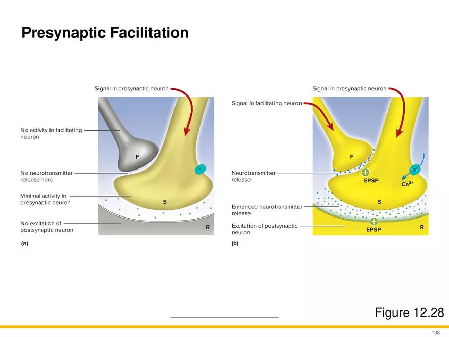 12.6 Neural Integration - Page 3