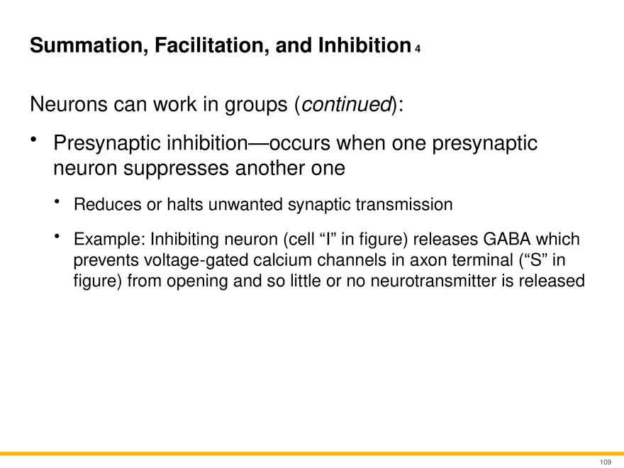 12.6 Neural Integration - Page 4