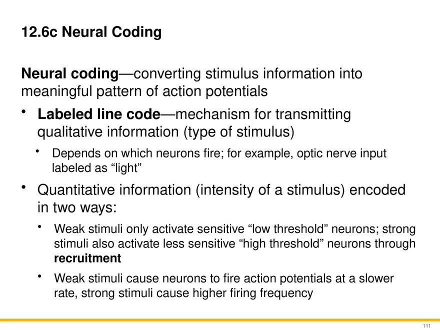 12.6 Neural Integration - Page 6