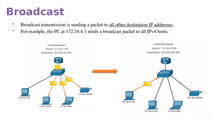 Module 11  IPv4 Addressing - Page 5