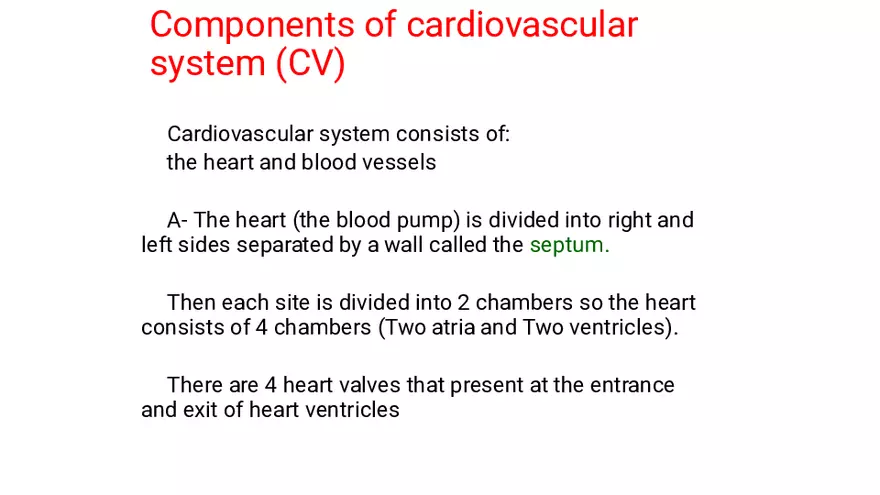 Medical Terminology Cardiovascular System - Page 2