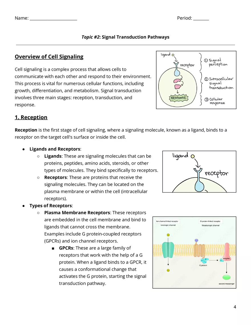 Cell Communication & Cell Cycle Reading Guide - Page 4