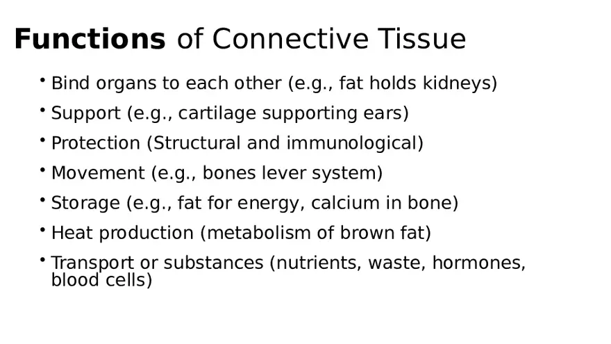 Chapter 5 Tissues – Epithelial, Connective, Muscle, Nervous, Membranes (Continued) - Page 19