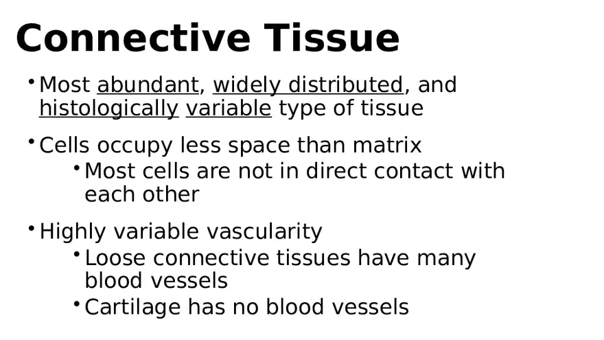Chapter 5 Tissues – Epithelial, Connective, Muscle, Nervous, Membranes (Continued) - Page 2