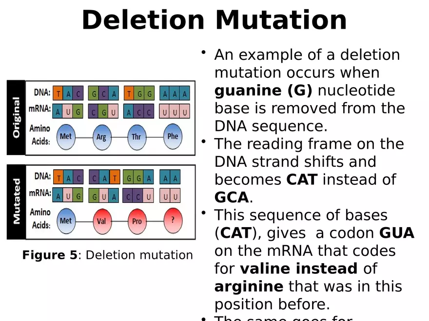 Lecture 9 Mutation - Page 7