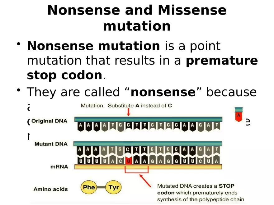 Lecture 9 Mutation - Page 11