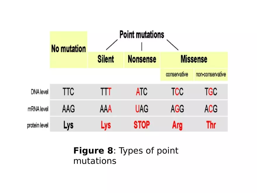 Lecture 9 Mutation - Page 15