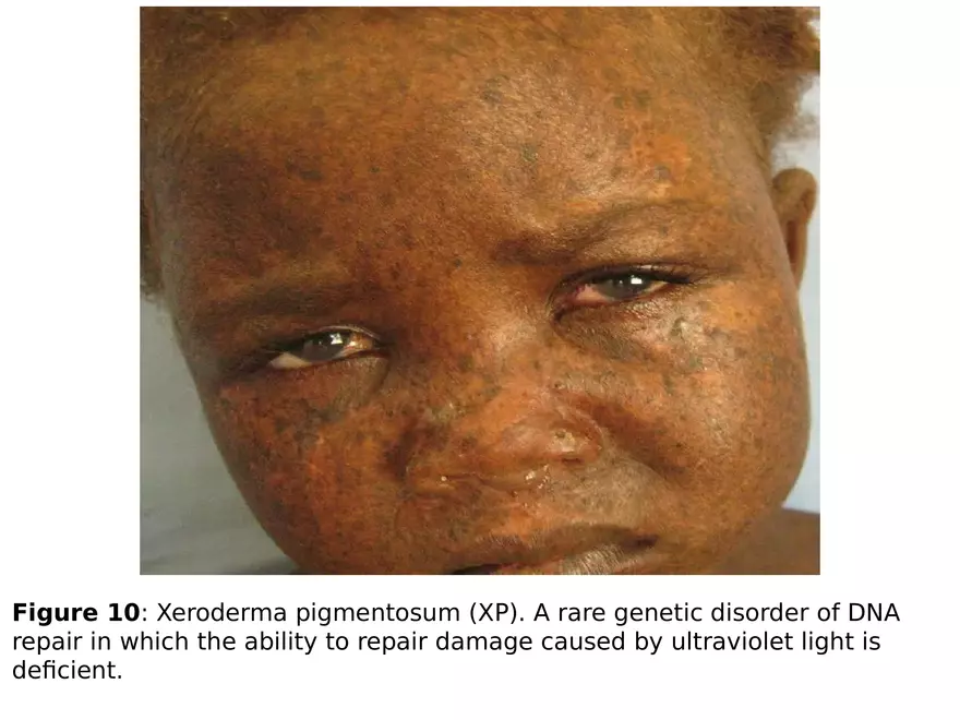 Lecture 9 Mutation - Page 21