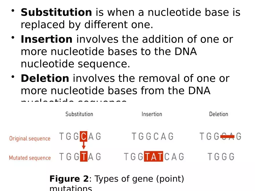 Lecture 9 Mutation - Page 3