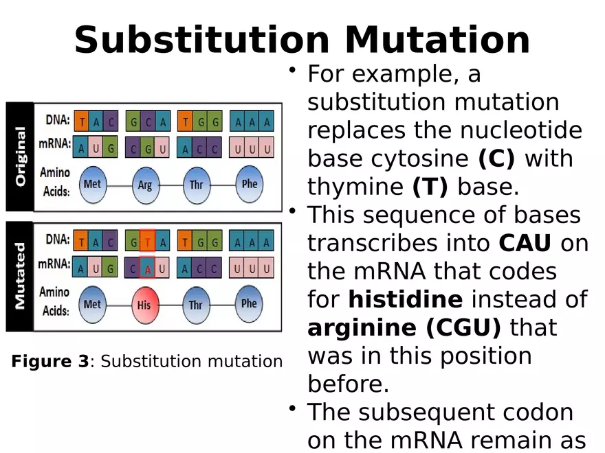 Lecture 9 Mutation - Page 4