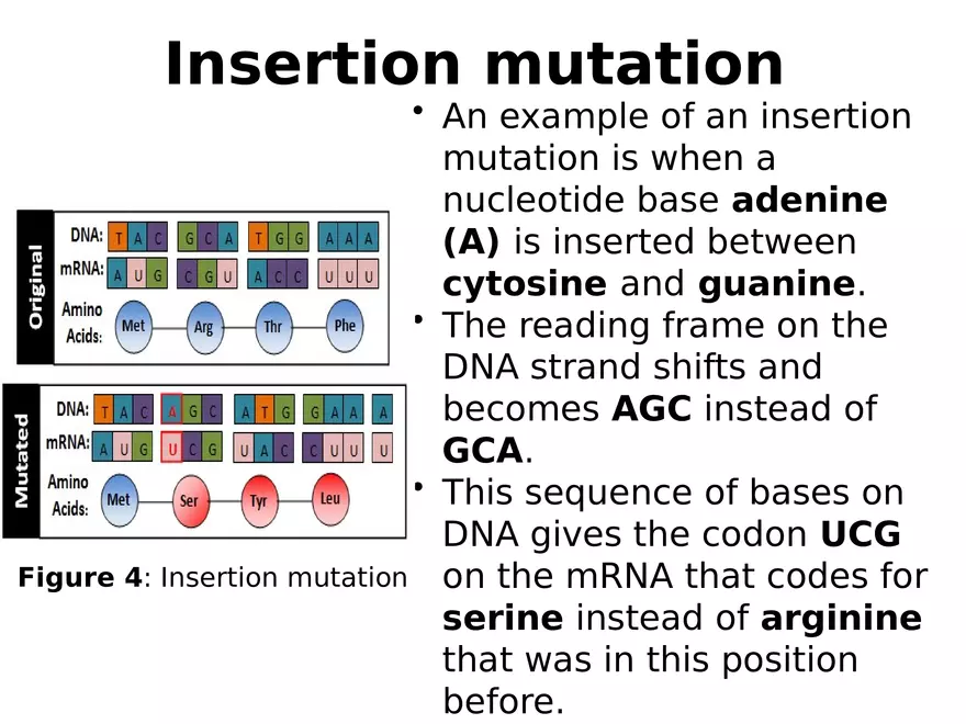 Lecture 9 Mutation - Page 6