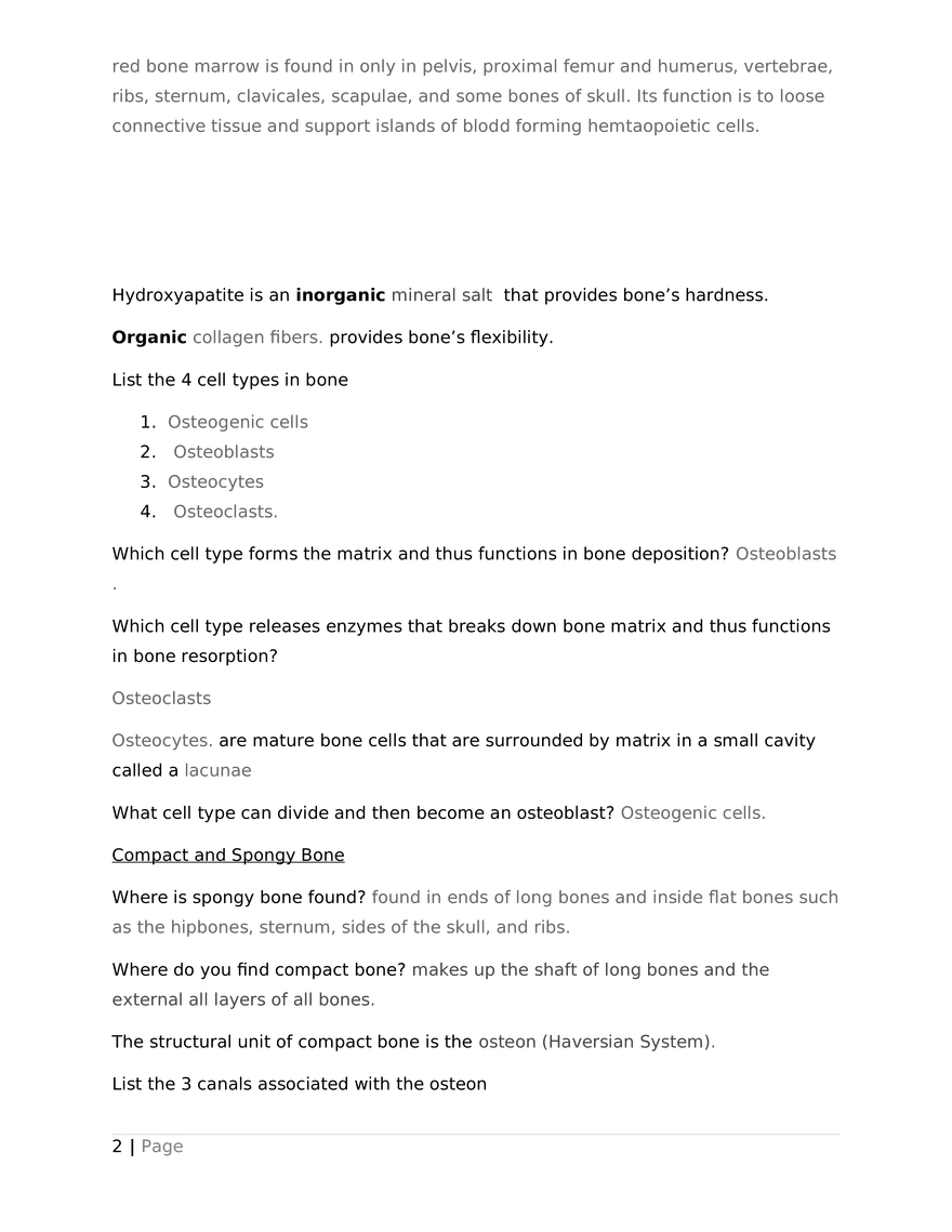 Worksheet – Bone Tissue - Page 2