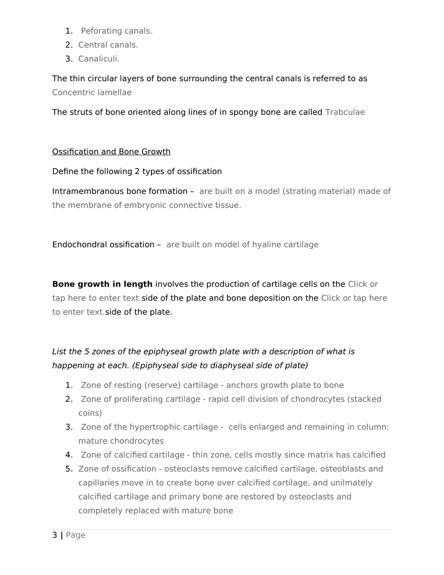 Worksheet – Bone Tissue - Page 3