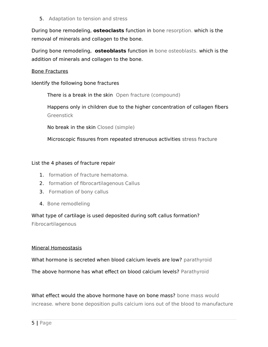 Worksheet – Bone Tissue - Page 5