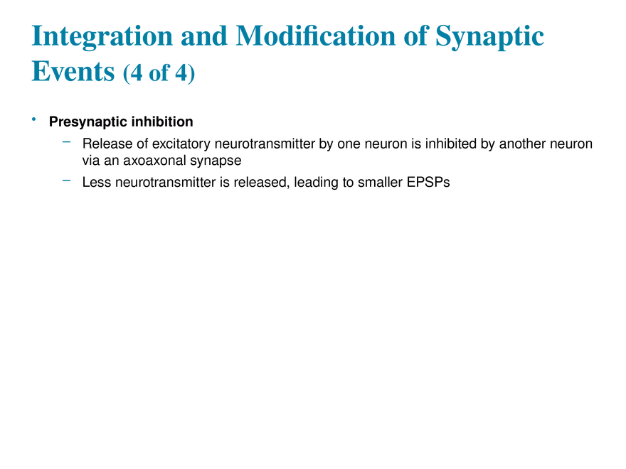 11.8 Postsynaptic Potentials - Page 7