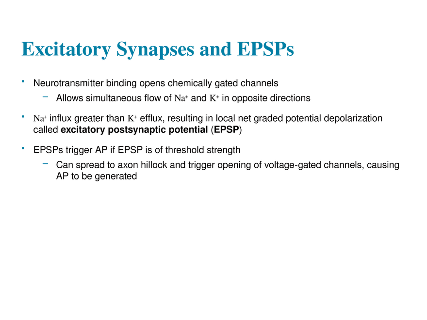 11.8 Postsynaptic Potentials - Page 12