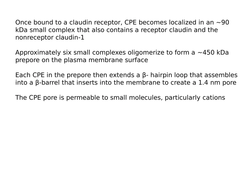 Clostridium Perfringens BTY618 - Page 7