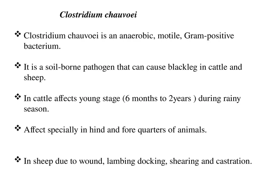 Clostridium Perfringens BTY618 - Page 25