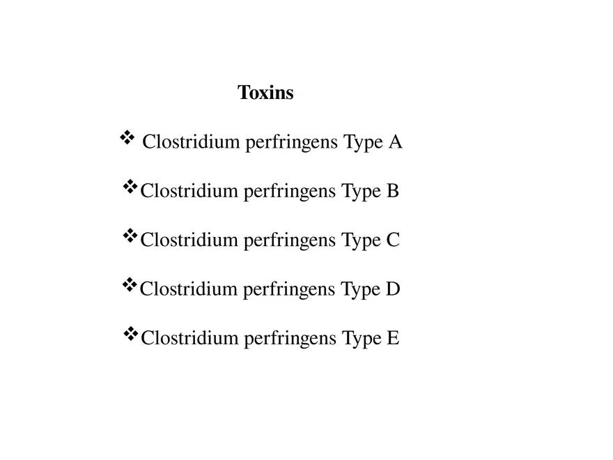 Clostridium Perfringens BTY618 - Page 33