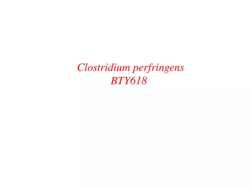 Clostridium Perfringens BTY618 - Page 1