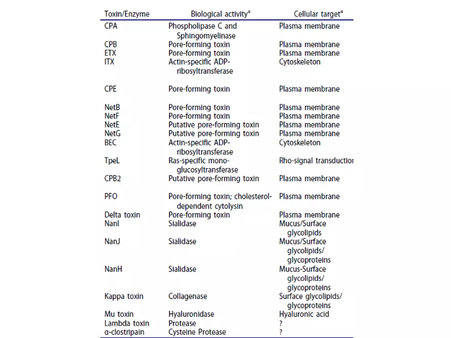 Clostridium Perfringens BTY618 - Page 37