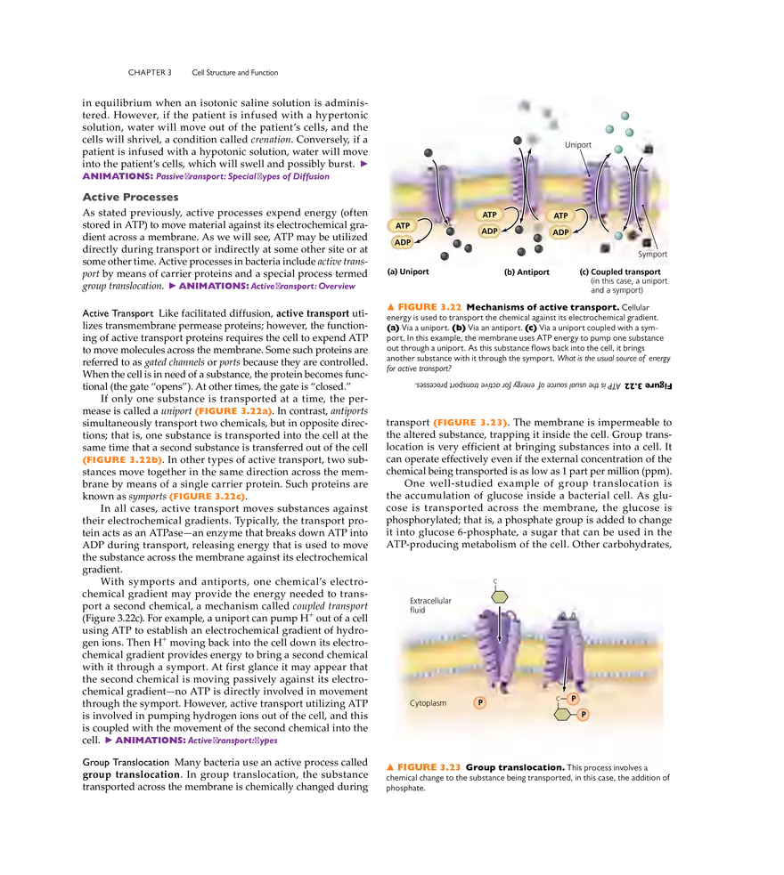 Cell Structure and Function - Page 7
