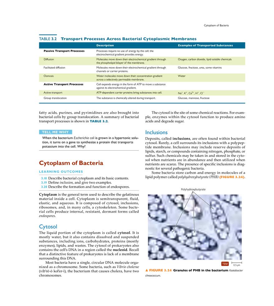 Cell Structure and Function - Page 8