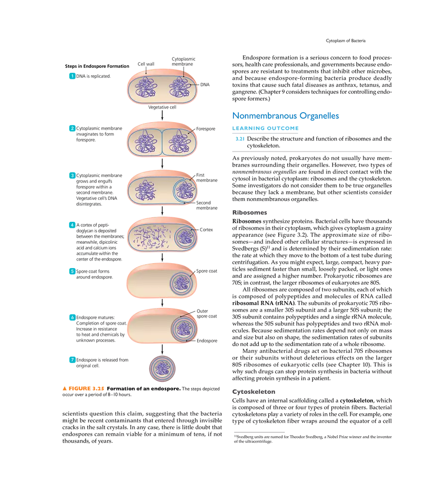 Cell Structure and Function - Page 10