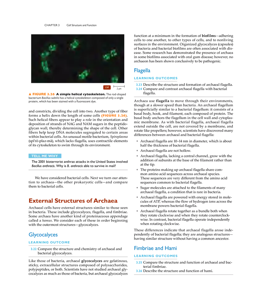 Cell Structure and Function - Page 11