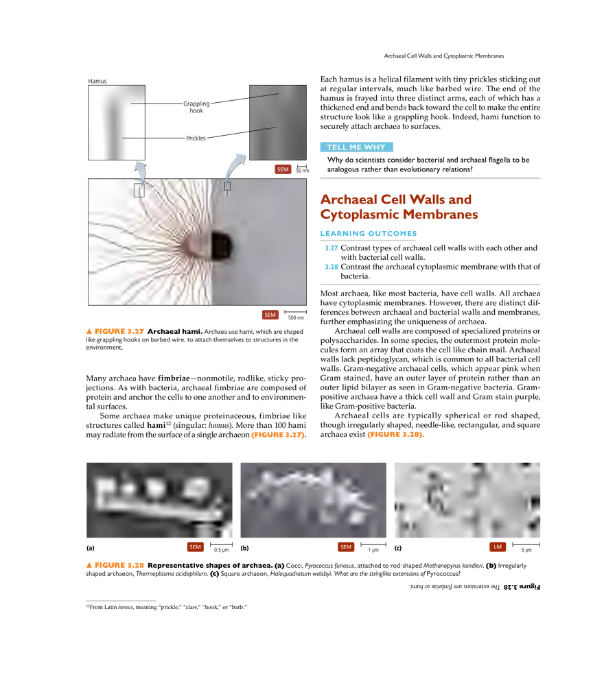 Cell Structure and Function - Page 12