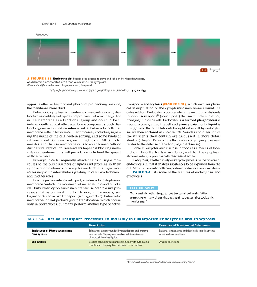 Cell Structure and Function - Page 16