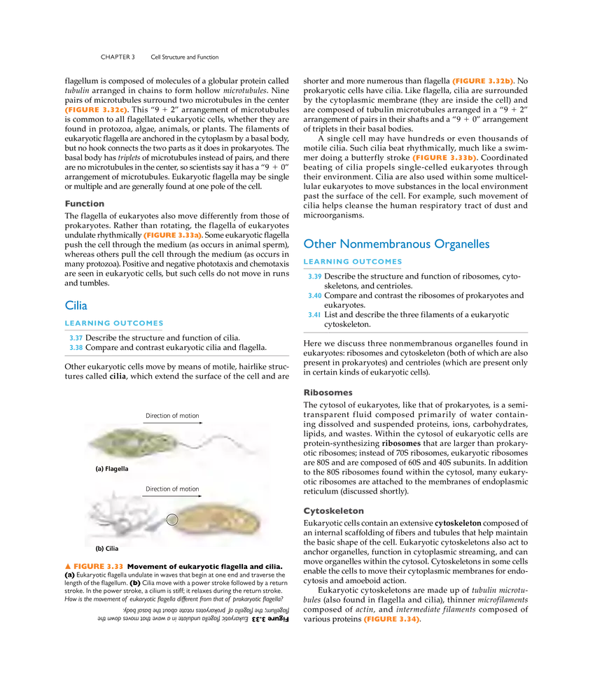 Cell Structure and Function - Page 18