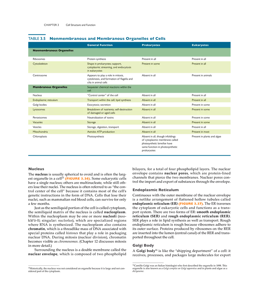 Cell Structure and Function - Page 20