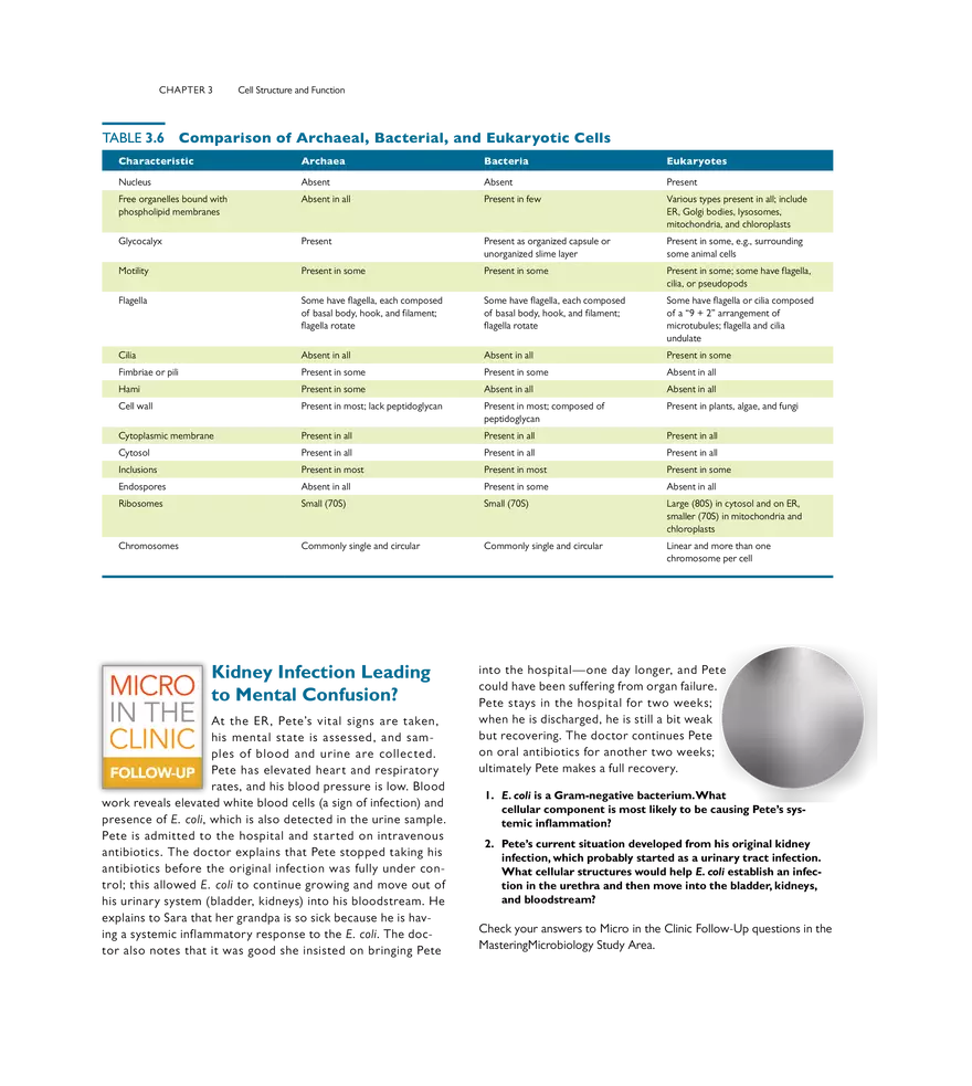 Cell Structure and Function - Page 25