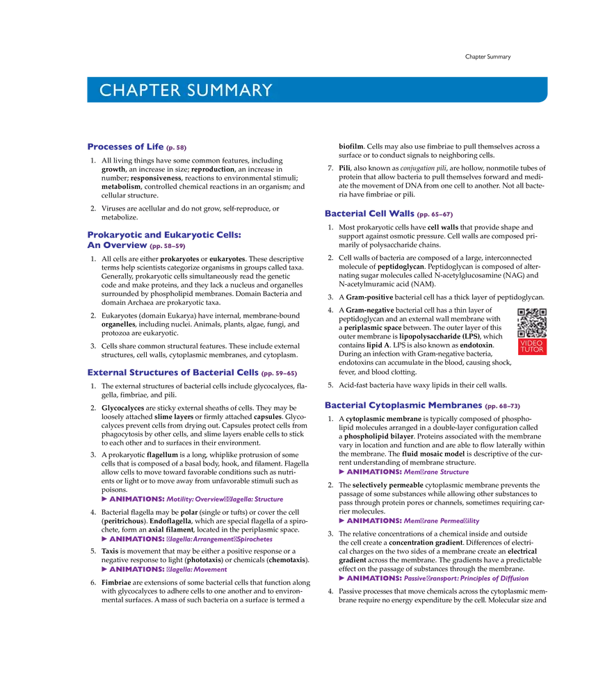 Cell Structure and Function - Page 26