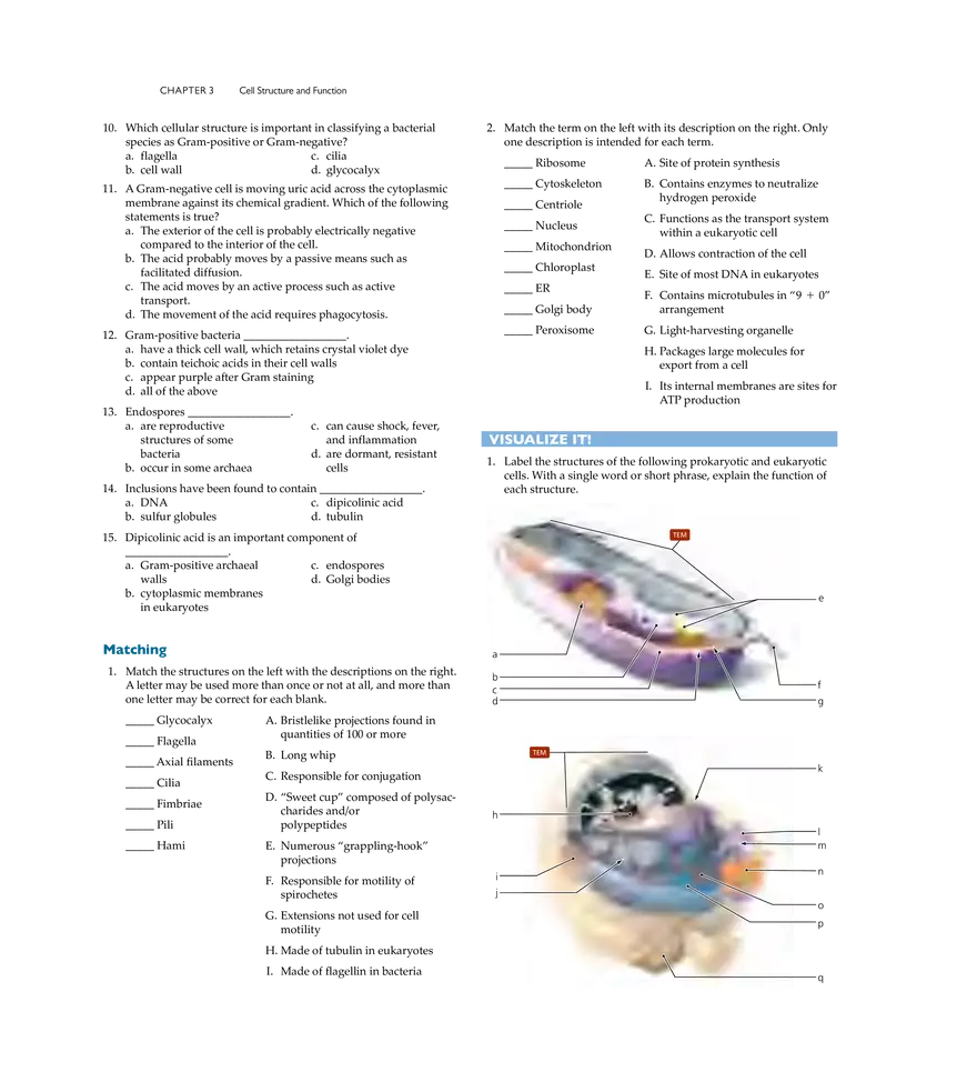 Cell Structure and Function - Page 29