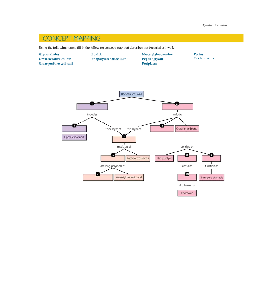 Cell Structure and Function - Page 32