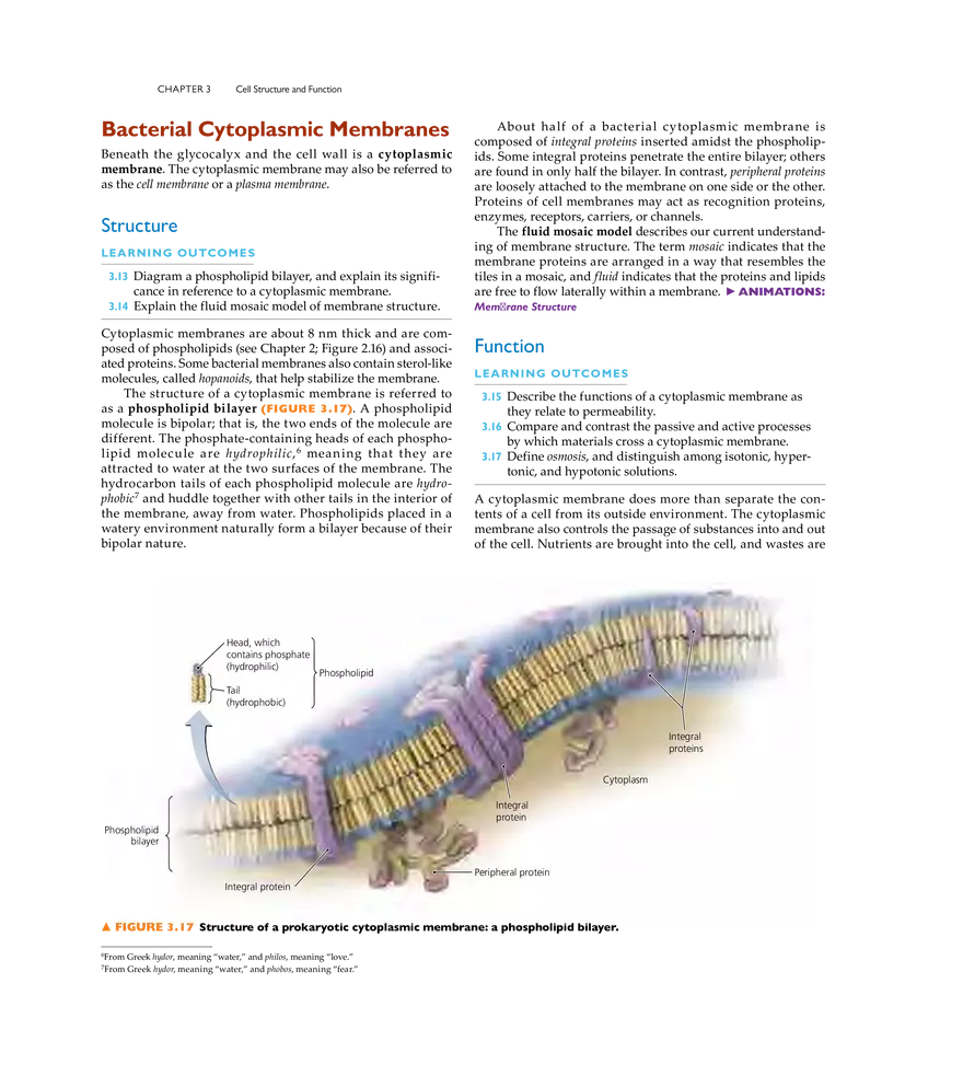 Cell Structure and Function - Page 3