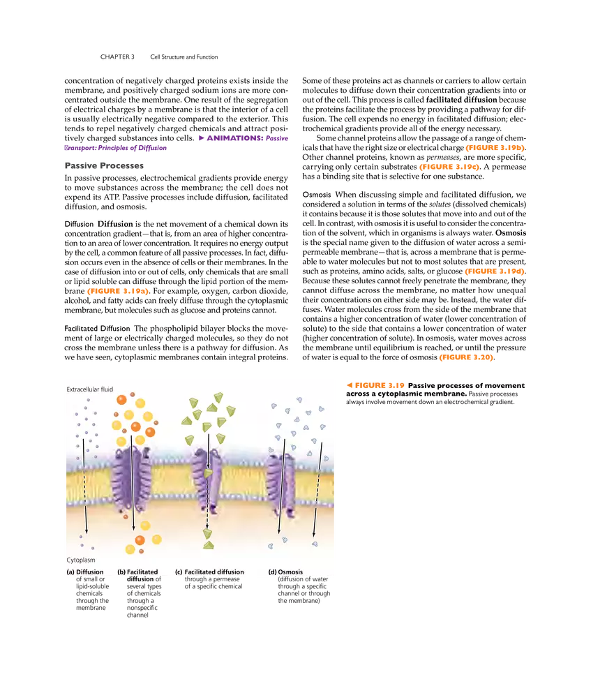 Cell Structure and Function - Page 5
