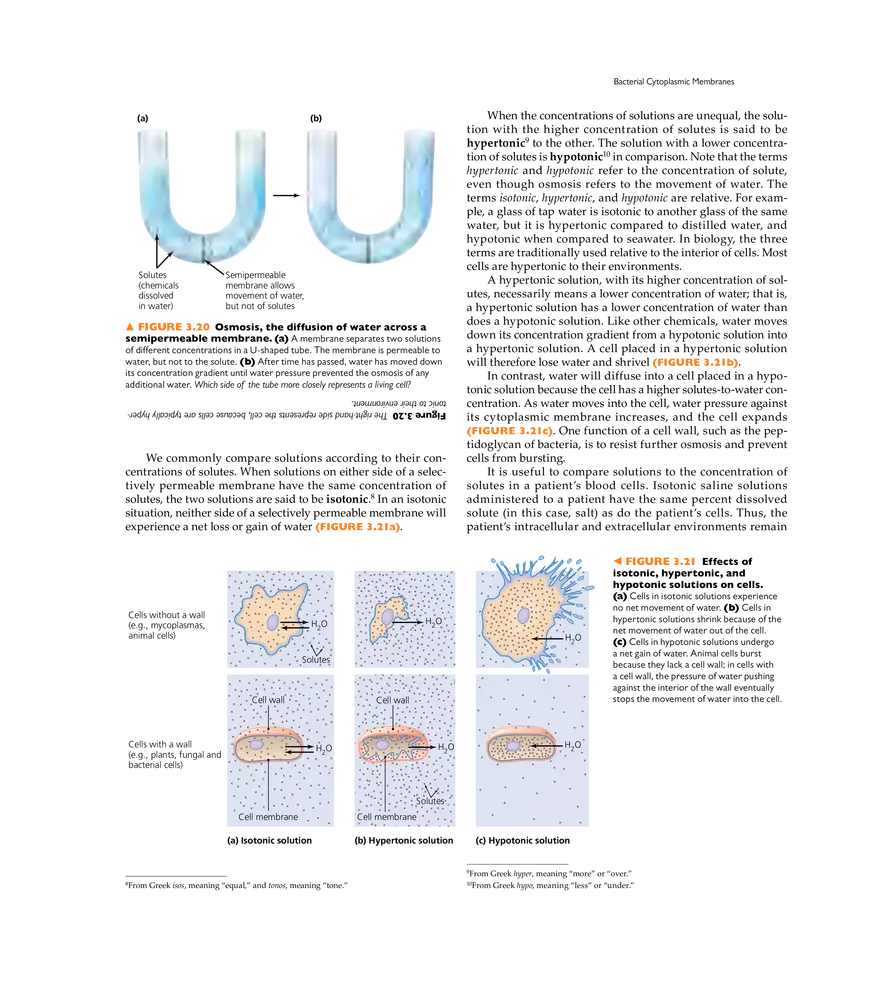 Cell Structure and Function - Page 6