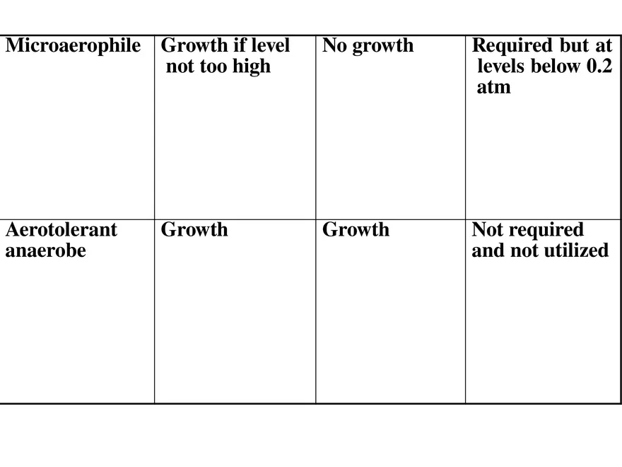 Bacterial Growth Requirements - Page 8