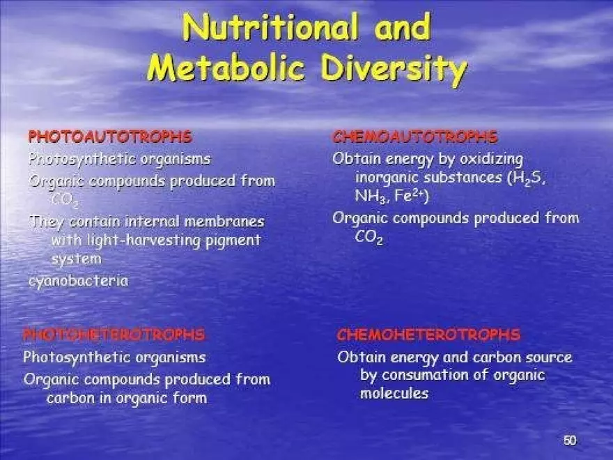 Bacterial Growth Requirements - Page 28