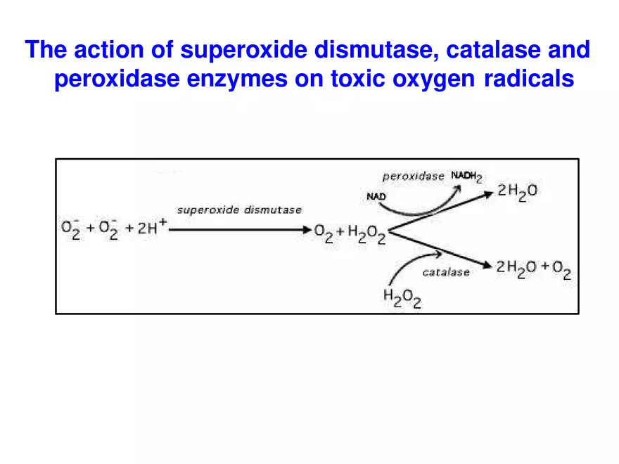 Bacterial Growth Requirements - Page 6