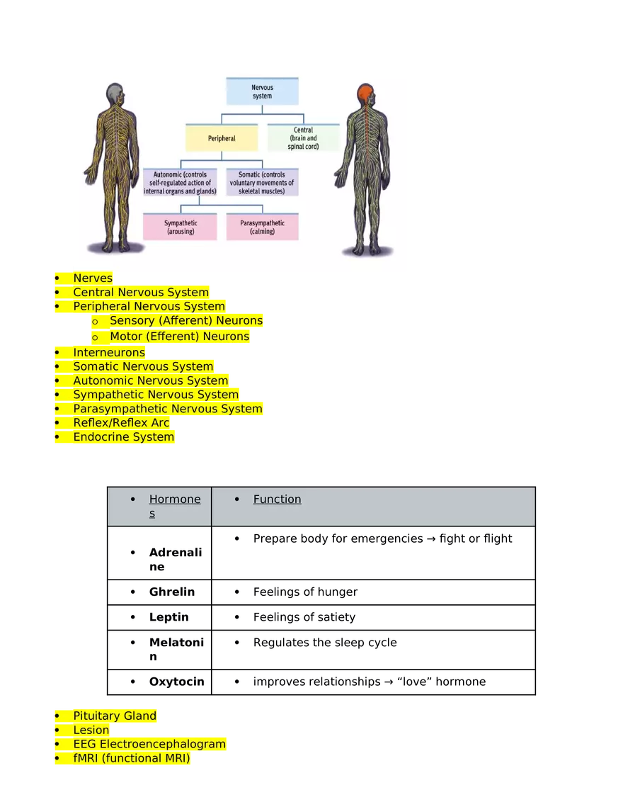 Unit 1.1 Biological Bases of Behavior - Page 2