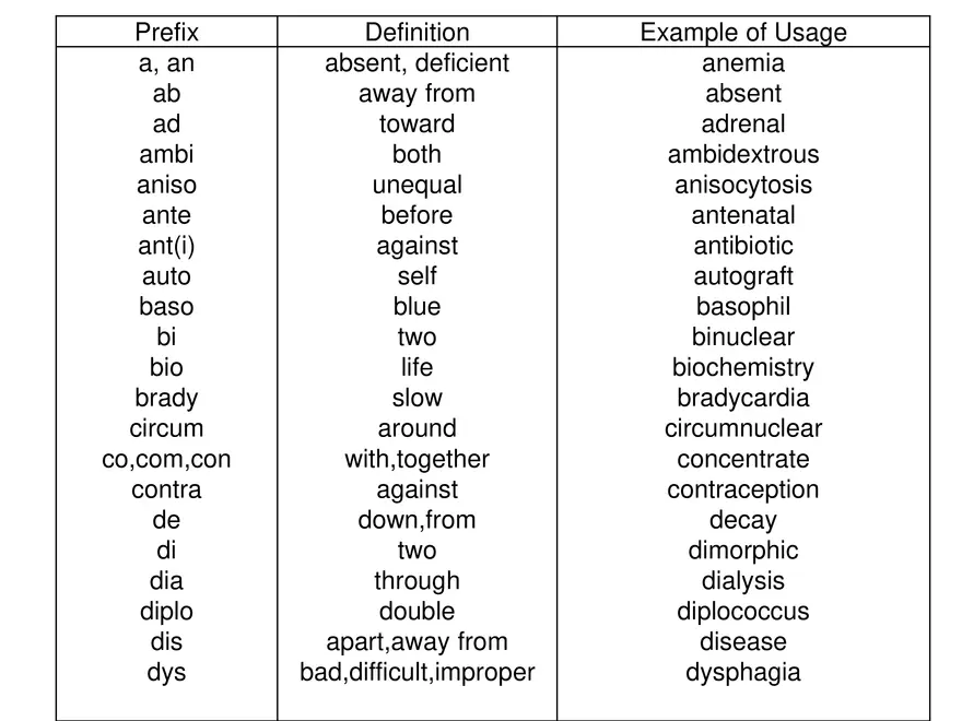 Medical Terminology - Page 3