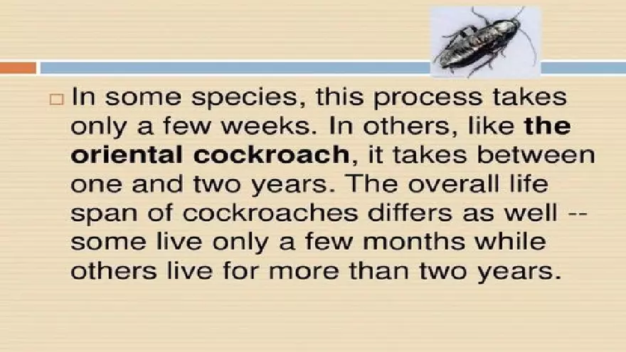 Life Cycle of Cockroach - Page 17
