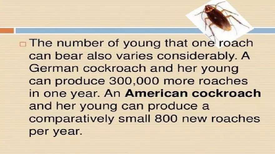 Life Cycle of Cockroach - Page 18